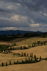 Winding Road- A road lined with cypress trees winds across the landscape of rolling barley fields and hills while storm clouds gather above the scene. Tuscany, Italy