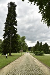 L'all&eacute;e principale &agrave; gros pav&eacute;s sous un ciel bien gris au jardin botanique nationale de Meise 