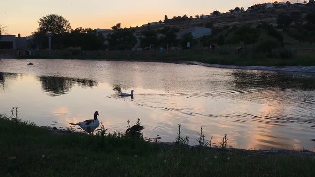 Aşık Veysel Rekreasyon Alanı G&ouml;leti ve G&uuml;nbatımı Bornova, Izmir Sunset