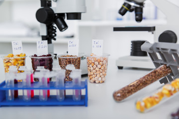 Chemical Laboratory of the Food supply . Food in laboratory, dna modify .
