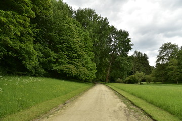 Chemin en graviers beiges vers l'un des bois du Jardin Botanique Nationale de Belgique à Meise 