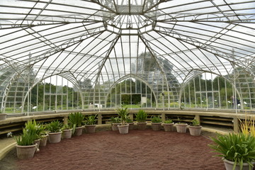 Int&eacute;rieur de la Serre Balat construite en 1854 au Jardin Botanique National de Belgique &agrave; Meise