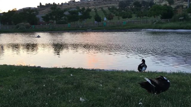 Aşık Veysel Rekreasyon Alanı G&ouml;leti ve Kazlar Bornova, Izmir Sunset