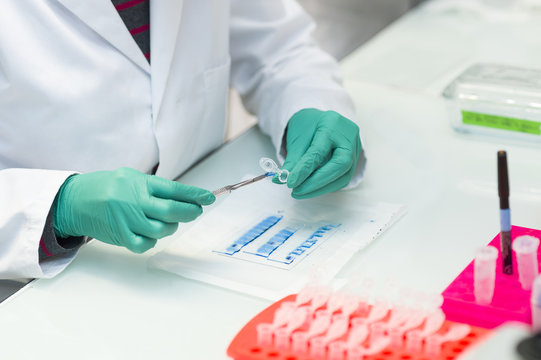 CANCER RESEARCH