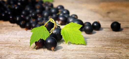 scaterred black currant berries on a wooden table, closeup, shallow depth of field