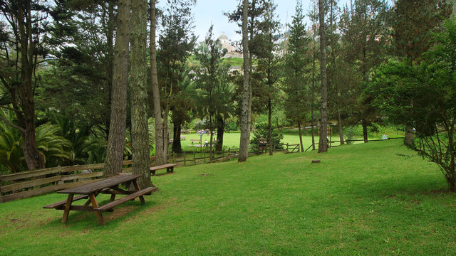 View of Park of Guapulo with the dome of the Sanctuary of the Virgin of Guapulo in the background