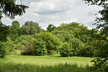 L'une des pelouses isolées en pleine nature au Jardin Botanique National de Belgique à Meise