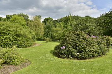 Pelouse entre les plantes médicinales au Jardin Botanique National de Belgique à Meise 