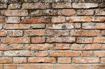 original and concrete Red brick wall background .