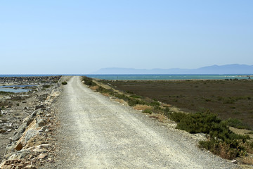 maremma