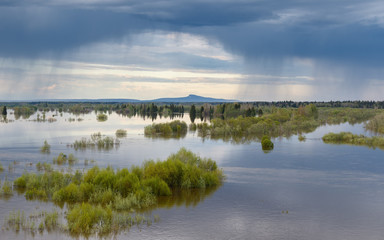 Spring landscape, mountain on background. Rainy day