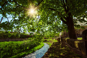 Spring rural landscape with river and green trees. Sun is shining through the branches. Miskolc, Hungary