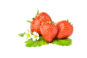Frische Erdbeeren mit Blättern und Blüten vor weißem Hintergrund