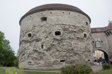 Fototapeta na wymiar Kanonenturm „Dicke Margarethe“ Tallinn Estland