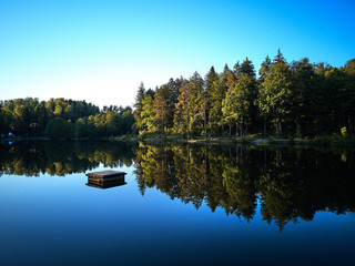View of a small lake and green trees around at sunset