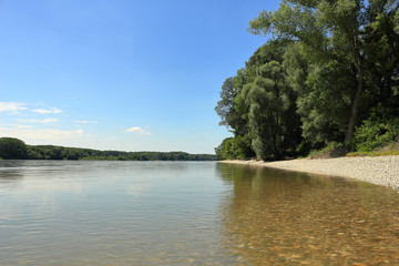 Naturnahes Donauufer in Niederösterreich Anfang Juni