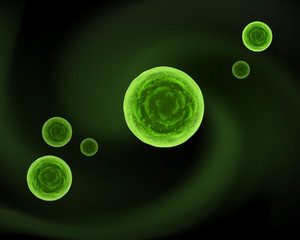 Sphere bacteria cells