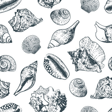 Vector seamless pattern with hand drawn outline various seashells. Sketch style black and white background with isolated shells. Summer design for fabric and fashion textile print.
