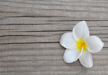 Fototapeta na wymiar Frangipani flower on wooden background with copy space.Plumeria flower.Spa or aromatherapy concept.