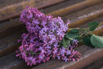 A bouquet of lilac on a wooden background.