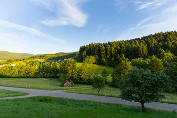 Obraz premium Intersection in the black forest at sunset with blue sky