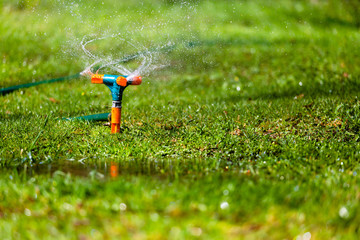 Garden sprinkler watering grass