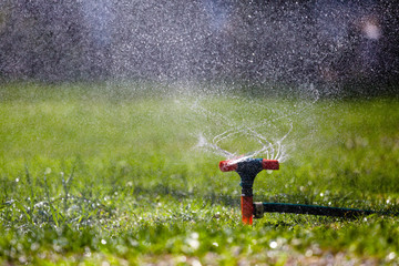 Naklejka premium Garden sprinkler watering grass