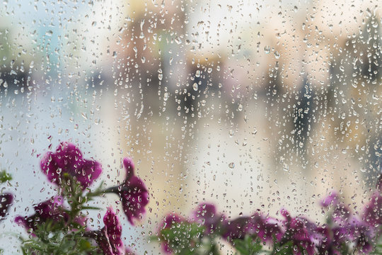 Fototapeta Purple flowers behind the wet window with rain drops, blurred street bokeh. Concept of spring weather, seasons, modern city. Place for text, for abstract background