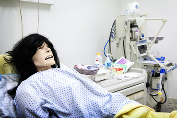 MANIKIN SIMULATION