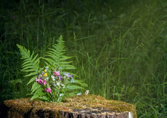 Bouquet of wild flowers on a stump
