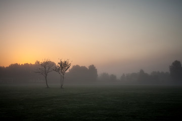 A misty field in Feltham at sunrise