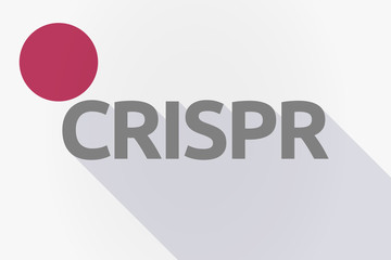 Long shadow Japan flag with  the clustered regularly interspaced short palindromic repeats acromym CRISPR