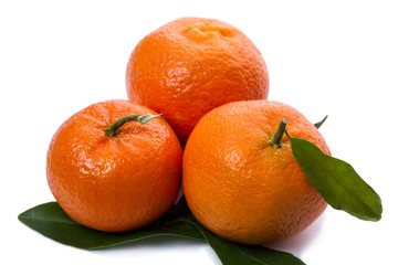 Three tangerines with leaves