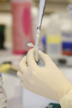 VIROLOGY LABORATORY