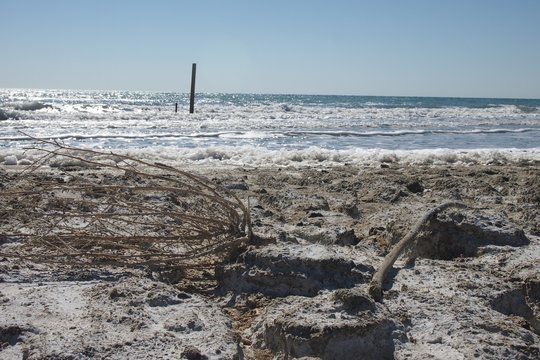 Aralsee Strand W&uuml;stengras Detail