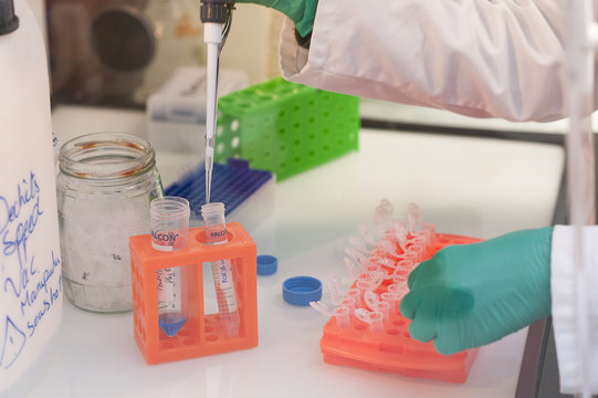 CANCER RESEARCH