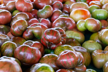 Fresh Tomatoes at a Farmers Market