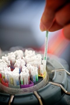CRYOPRESERVATION