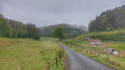 Natur bei Regenwetter