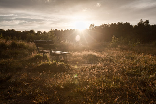 A Bench On Wimbledon Common