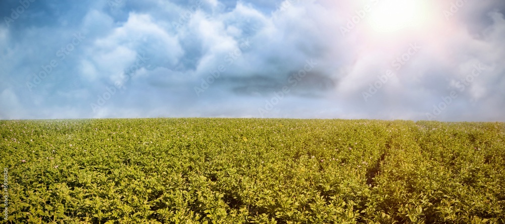 Poster composite image of vector image of cloud