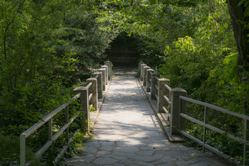 Green park with bridge path to the infinity