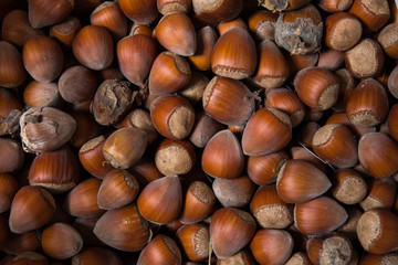 bunch of hazelnuts useful as a background