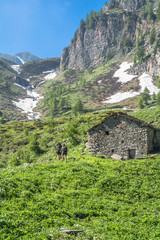 Trekking sul Monviso