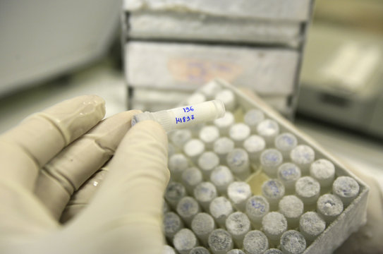 STEM CELL RESEARCH