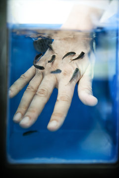 FISH THERAPY