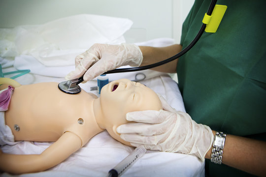 MANIKIN SIMULATION