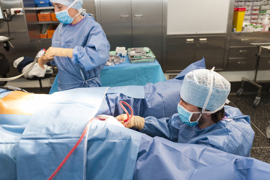 GYNECOLOGICAL SURGERY