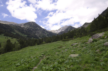 Parque Natural Valle de Sorteny (Andorra)