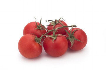 Tomatoes on a branch on a white background